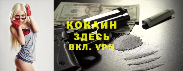 хмурый Алексин