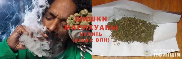 ПСИЛОЦИБИНОВЫЕ ГРИБЫ Алзамай