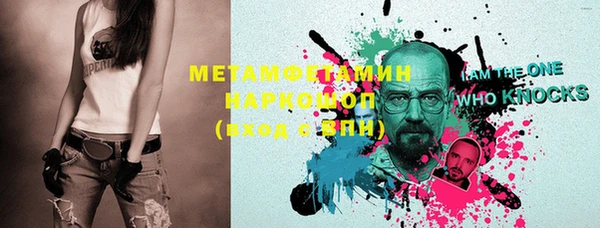 хмурый Алексин