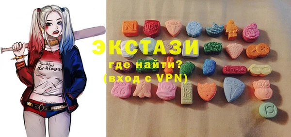 хмурый Алексин