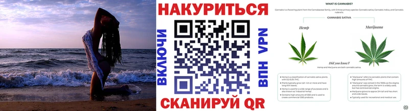 Купить где  Кочубеевское  Марихуана SATIVA & INDICA 